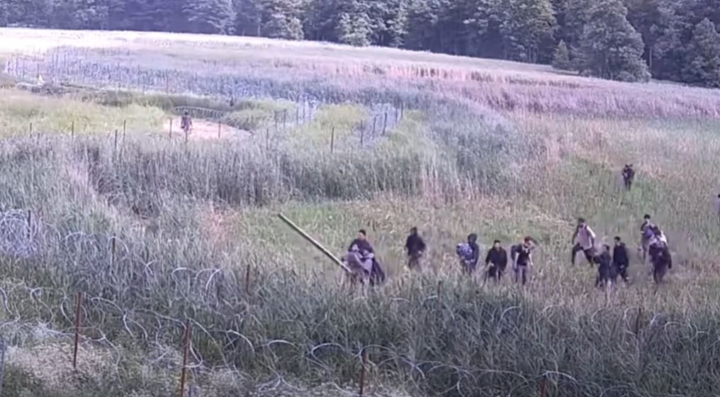 migranci