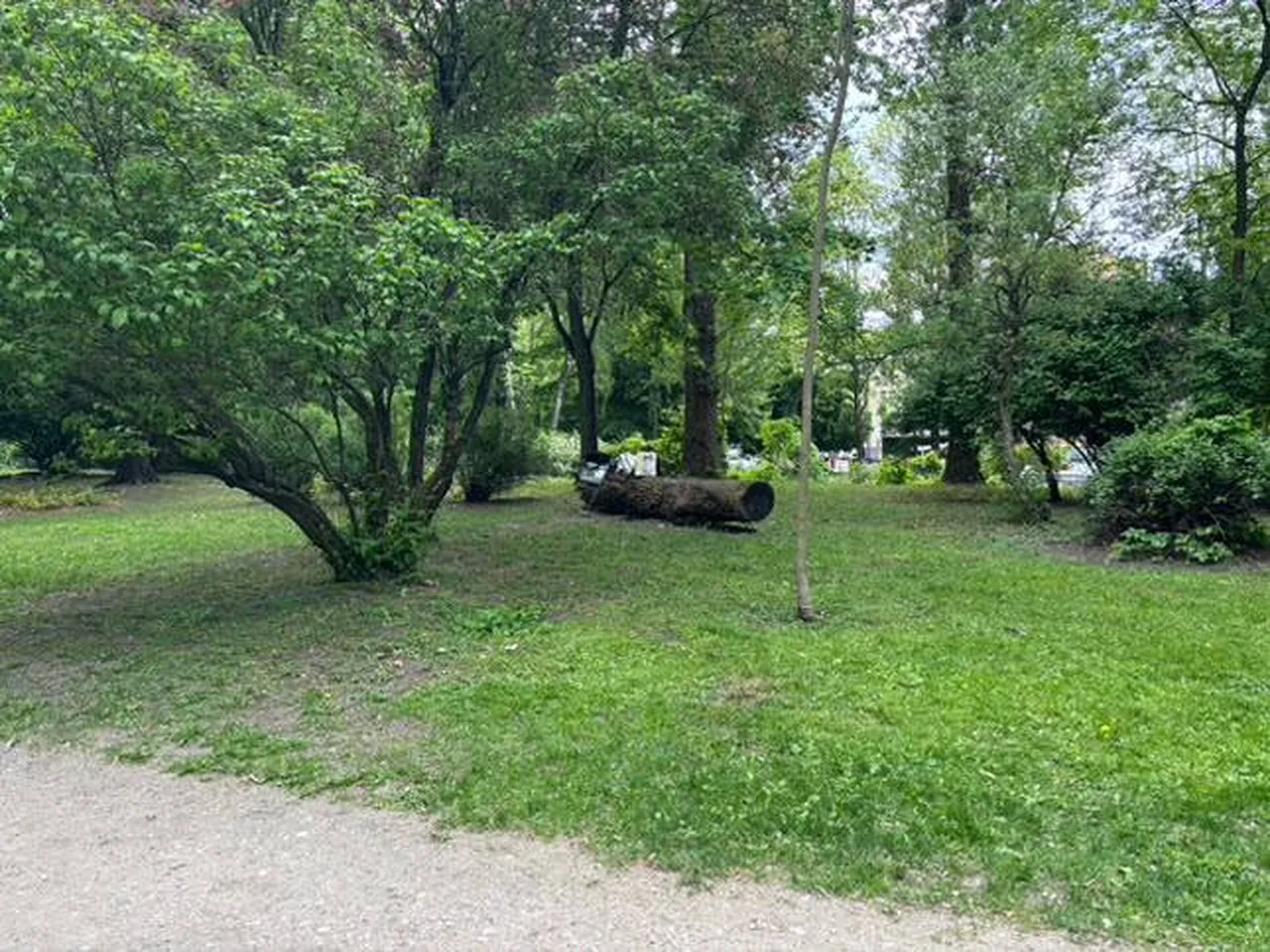Park